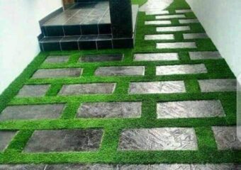 Carpet Grass Floor Beautification